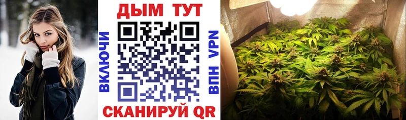 Бошки Шишки THC 21%  что такое   Шадринск 